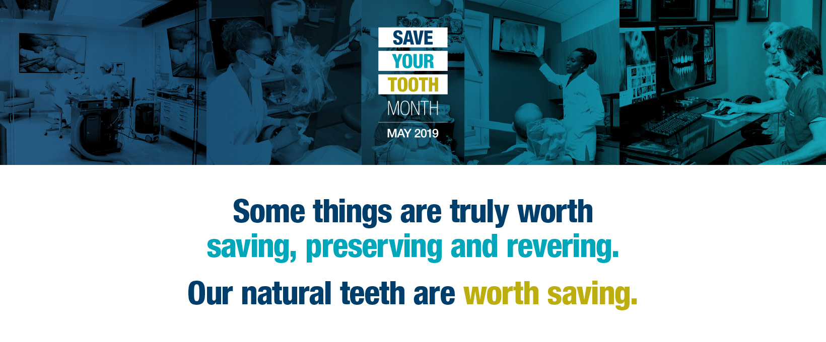 Save Your Tooth Month