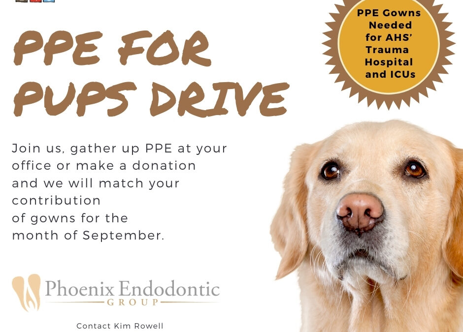 PPE for Pups | Drive for AZ Humane Society