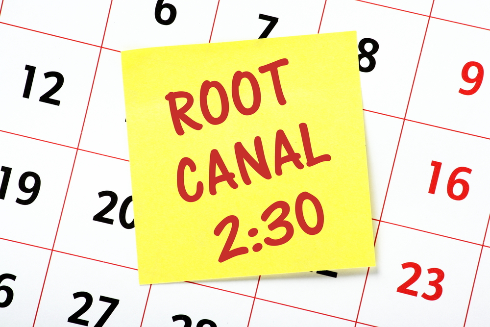 Questions to Ask Your Endodontist Before Root Canal Treatment